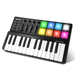 Worlde Panda Mini USB MIDI Keyboard Controller 25 Keys w/ Drum Pads New Open Box