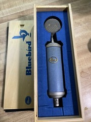 Blue Bluebird Microphone
