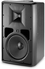 JBL Control 31 10″ 2-way Commercial Speaker Black