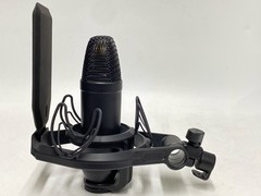 Rode NT1 Cardiod Condenser Mic with Shock Mount and Pop Filter (UD8029817)