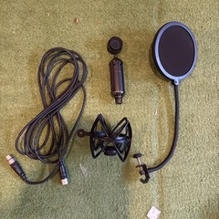 Blue Microphones Blackout Spark SL Large-Diaphragm Condenser Microphone