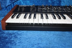 Dave Smith Instruments Prophet REV2 8 Voice Synthesizer, 5-Octave, Bi-Timbral