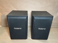 Set of 2 Roland CM110/220 Cube Monitor Satelite Speaker Only 50W Max Black