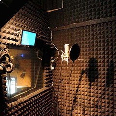 6-24- 96 x Acoustic Foam Panels Studio Noise Soundproofing Wall Tiles 12*12 inch