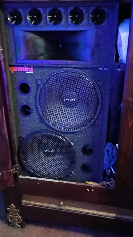 dj speakers pair