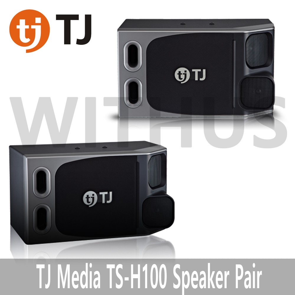 TJ Media TS-H100 Speaker 250W Maximum 500W