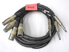 Quality 9 Foot 2 In/2 Out Balanced 1/4″ TRS To XLR Male/Female Mogami Snake. CG