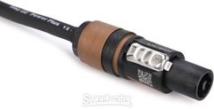 Pro Co S12NN-25 Speakon-Speakon Speaker Cable – 25′