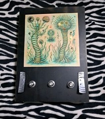 Synthesizer analog Drone UFO SOUNDS Trippy Dub Siren Rave Psytrance Psychedelic
