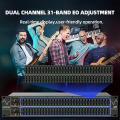 QST Graphic Equalizer 31-Band Stereo EQ for Home Audio Dual Channel Professional