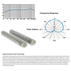C02 One Pair Condenser Small-Diaphragm Suspension Pencil Shockproof Clip Microph