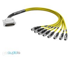 Premium DB25 DSUB Snake Mogami 2932 | Neutrik Rean Mini XLR-Female | Yellow 80′