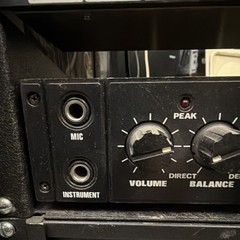 Echosound Pro-Audio 50 Rack Mount Delay Unit, Peak Indicator, Foot Switch