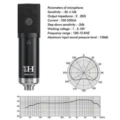 Earphone Studio Recording Kit Podcast Mixer Equipment Condenser Microphone Set