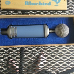 B.L.U.E. Bluebird Microphone For Sale
