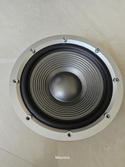 JBL 10 INCH WOOFER ( 8 ohms). Excellent condition.