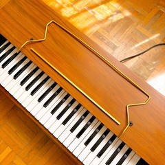 Super Rare Farfisa Reed Pumped Air Organ (Italy, 1950s) Vintage Electric Organ!