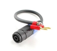 1ft Dual Banana Red Plug to Speakon Female Type Speaker/Amplifier Jumper Cable
