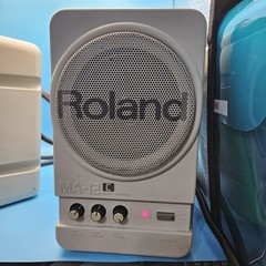 Roland MA-12C Stereo Monitor Speakers Desktop PC Micro Monitor Pair Set Tested
