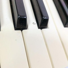 KORG MS2000 Analog Modeling Keyboard Synth w/ Soft Case Tested from japan