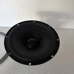 Replacement for Event 20/20P BAS ACTIVE MONITOR Speaker Cabinet.