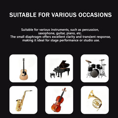 E614 Pro Drum Condenser Microphone with Windscreen & Clamp Mount