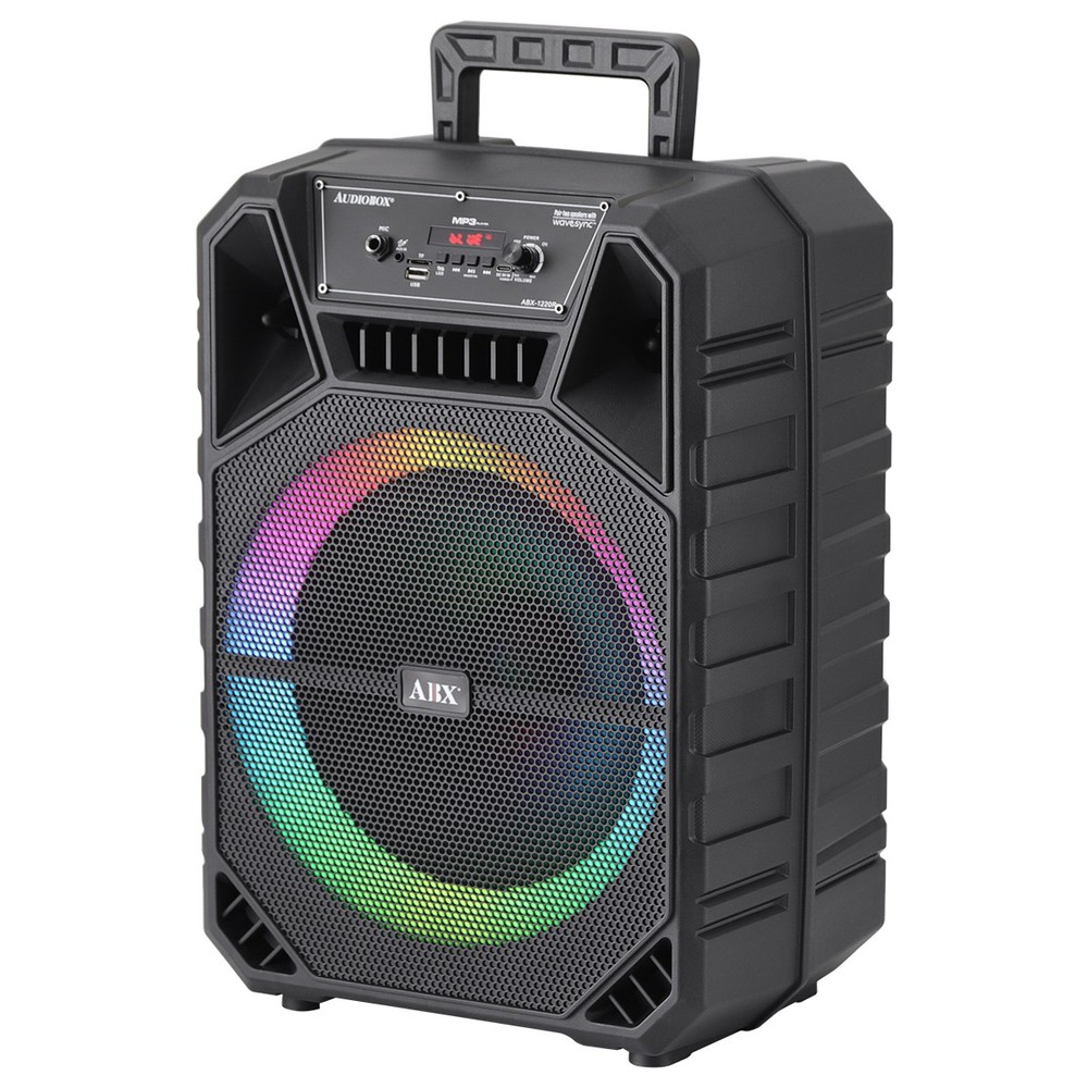 12″ Bluetooth Wireless Speaker BT TWS Soud System USB/TF/FM Radio