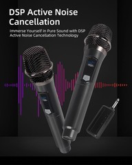 2.4GHz Wireless Microphone System, Dual Handheld Cordless Dynamic Mics with R…