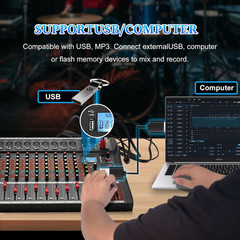 12-Channel Professional Audio Mixer with Bluetooth and USB Recording