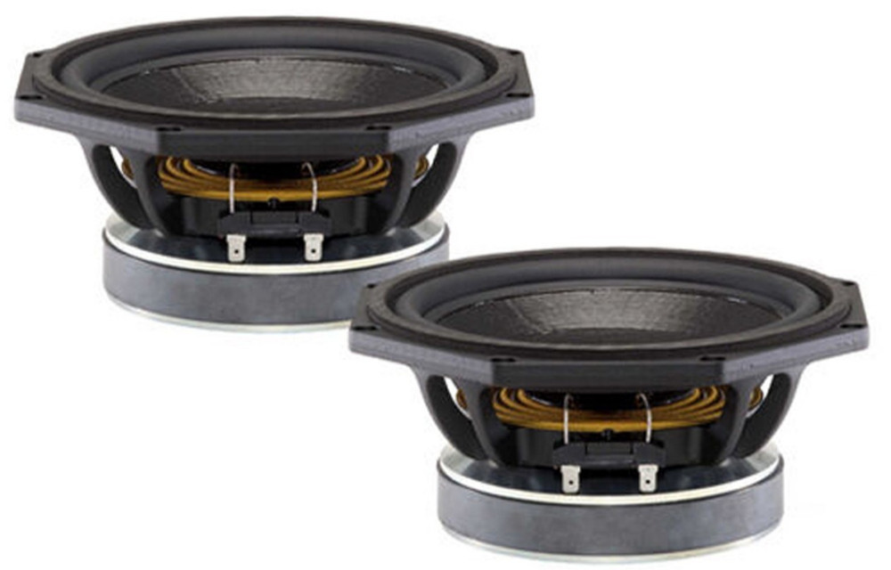 B&C 8FG64 8″ Woofer 600 Watts Mid-Bass Speaker Frequency: 50-3000 Hz (PAIR)