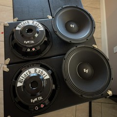 1 Electro-Voice EVM12L Black Label Zakk Wylde Signature 12-inch 300-watt Guitar