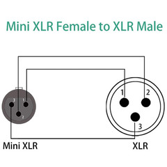 3 Pin Mini XLR Female (TA3F) to Regular XLR Male Pro Lapel Microphone Cable – 1F