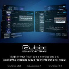 Roland USB AUDIO INTERFACE RUBIX-22 BrandNew Shipped from Japan