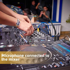 Professional Dynamic Gooseneck Microphone with XLR 16 Inch DJ Mic Podium
