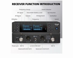 Wireless Microphones System with 2 X 100 Channels Cordless Handheld Microphon…