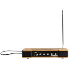 Moog Etherwave Theremin