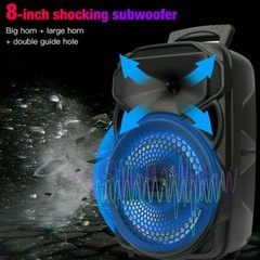 Portable 1000W Bluetooth Speaker Super Bass Stereo Loud AUX FM USB W/Mic Remoter