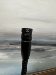 Audio-Technica 12 Inches Cardioid Condenser Gooseneck Microphone