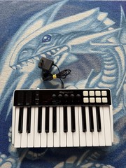 IK Multimedia iRig Keys I/O 25 MIDI Controller Keyboard Piano DJ TESTED + WORKS!