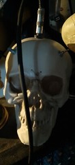 Skull optical theremin synthesizer drone circuit bent