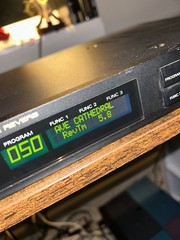 Roland SRV-330 Dimensional Space Reverb – Tested Working 1U Rack