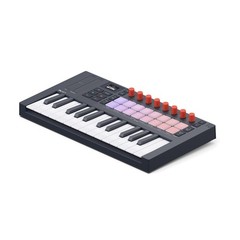 Novation FLkey 2 Mini 25 25-Key Mini MIDI Keyboard for FL Studio