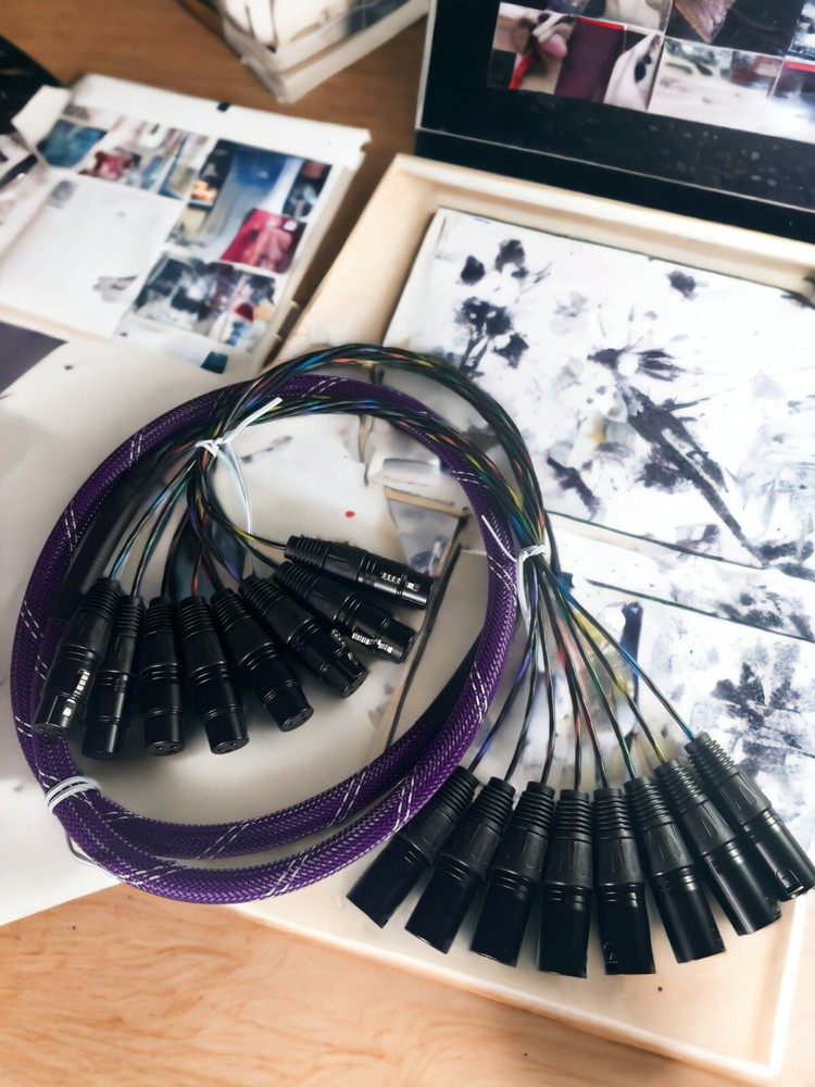 Canare Custom | 8 Channel Balanced Studio Snake Cable, HIFI XLR M/F
