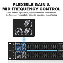 Dual Channel 31-Band Graphic Stereo EQ for Home Audio and DJ Sound