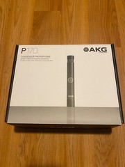 AKG P170 High-Performance Instrument Microphone (3101H00410)