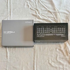 Roland SE-02 Analog Synthesizer and K-25M Keyboard Set