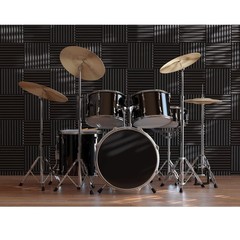 12 Pack 12x12x1 Inch Self Adhesive Acoustic Panels Soundproof Foam Panels