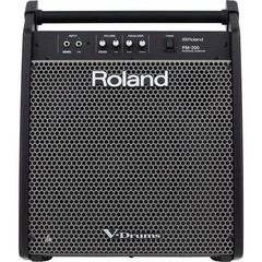 Roland PM-200 180W Personal Drum Monitor, 12″ Woofer