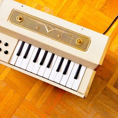 Micro “Fisetta” Jacket (Italy, 1950s) Mini Chord/Reed Organ! 20 keys! Rare!