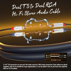 Tisino RCA to 1/4 Cable, Dual inch TS Stereo Audio 3 feet